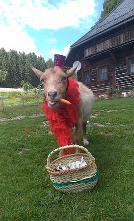 Hotel Kramer Gurk